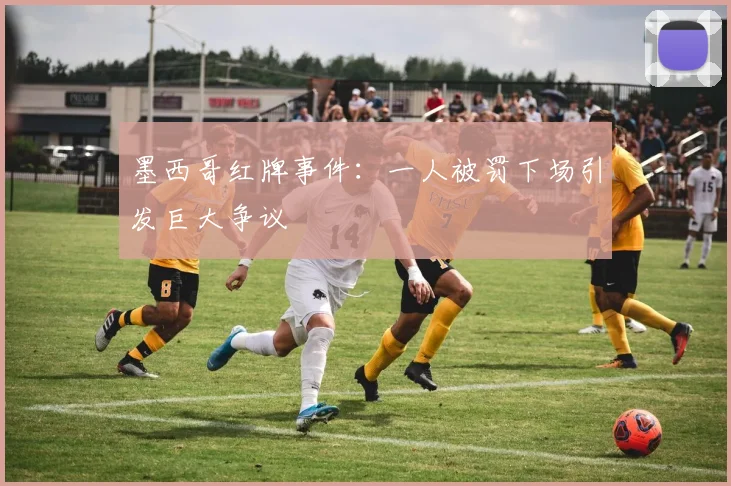 墨西哥红牌事件：一人被罚下场引发巨大争议