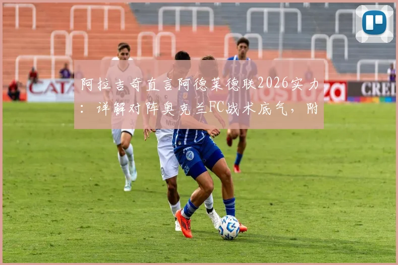 阿拉吉奇直言阿德莱德联2026实力：详解对阵奥克兰FC战术底气，附澳超赛季前瞻